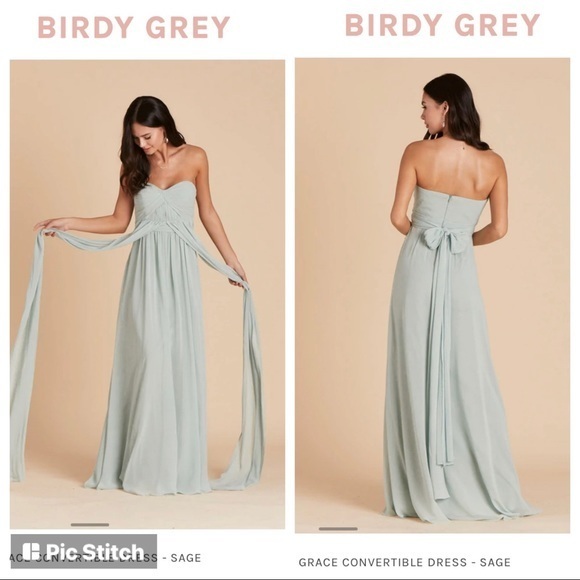 Birdy Grey Dresses & Skirts - NWT Birdy Grey Convertible Dress